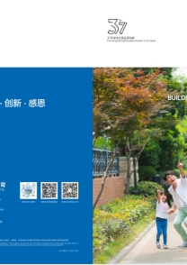 pp电子电梯 修建焕新解决计划